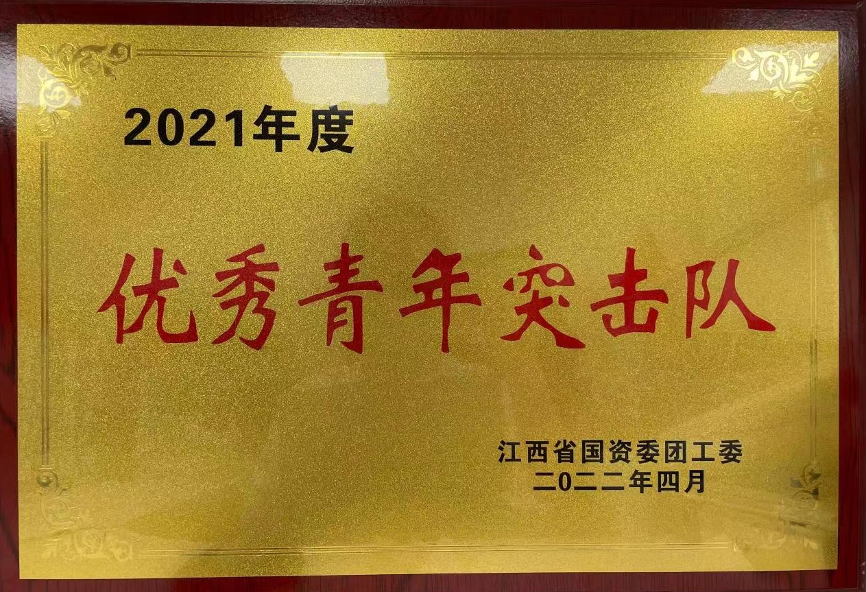 青年突击队