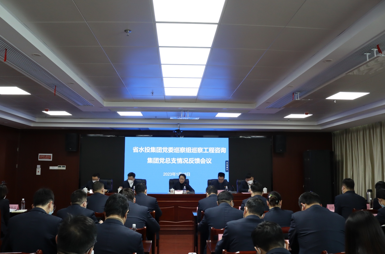 省水投集团党委巡察组向工程咨询集团党总支反馈巡察情况