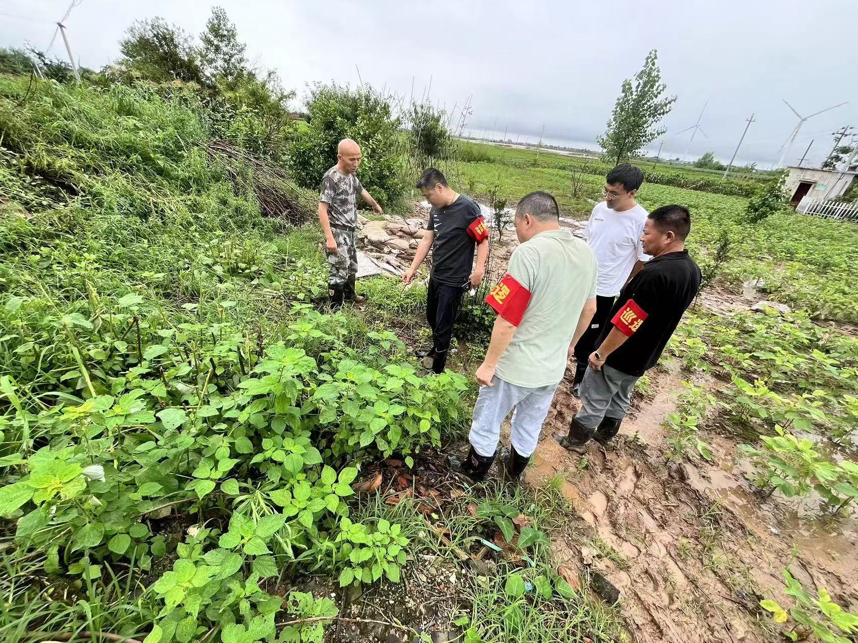 防汛进行时丨工程咨询集团党员干部闻“汛”而动,风雨显担当