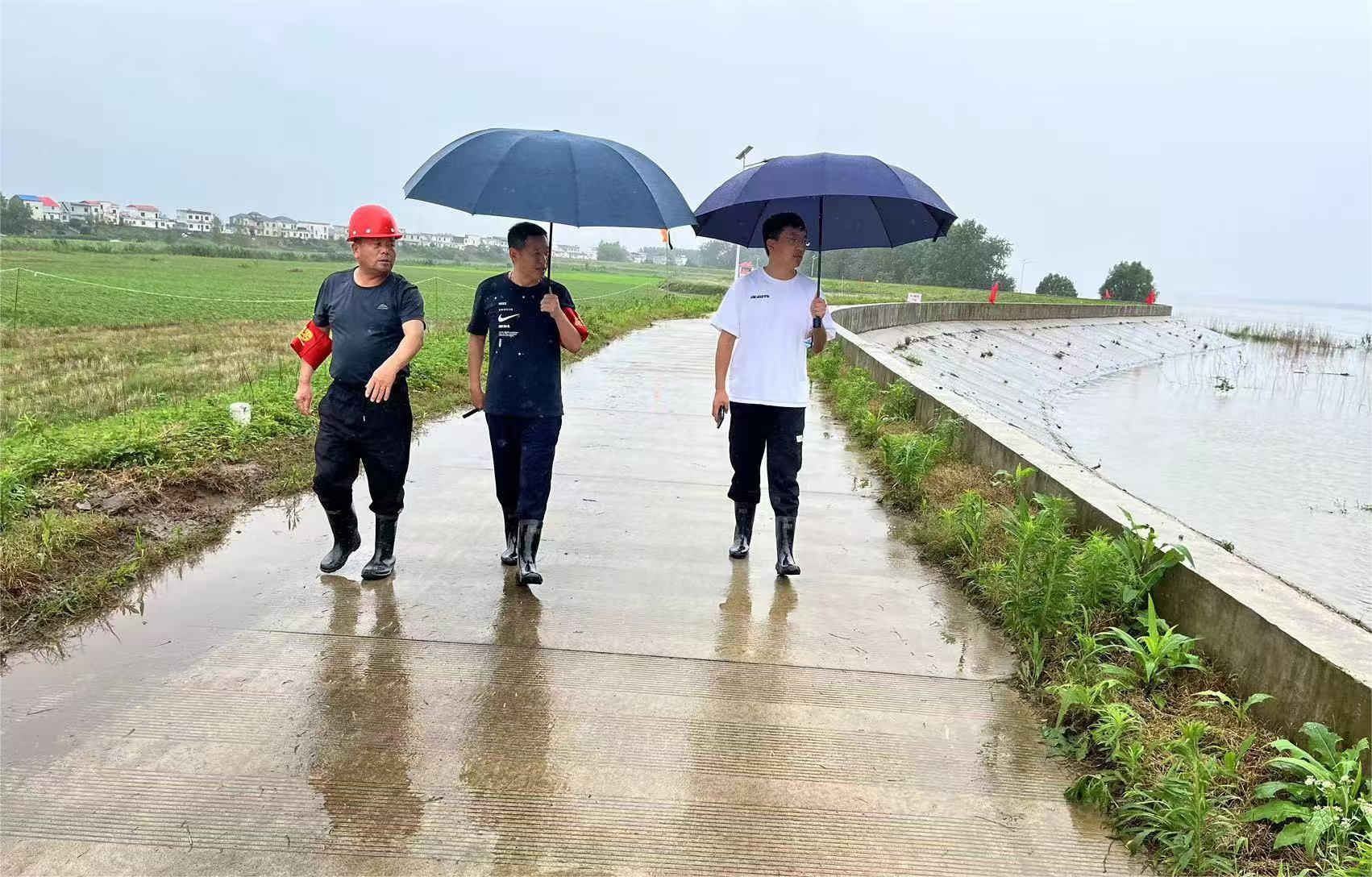 防汛进行时丨工程咨询集团党员干部闻“汛”而动,风雨显担当