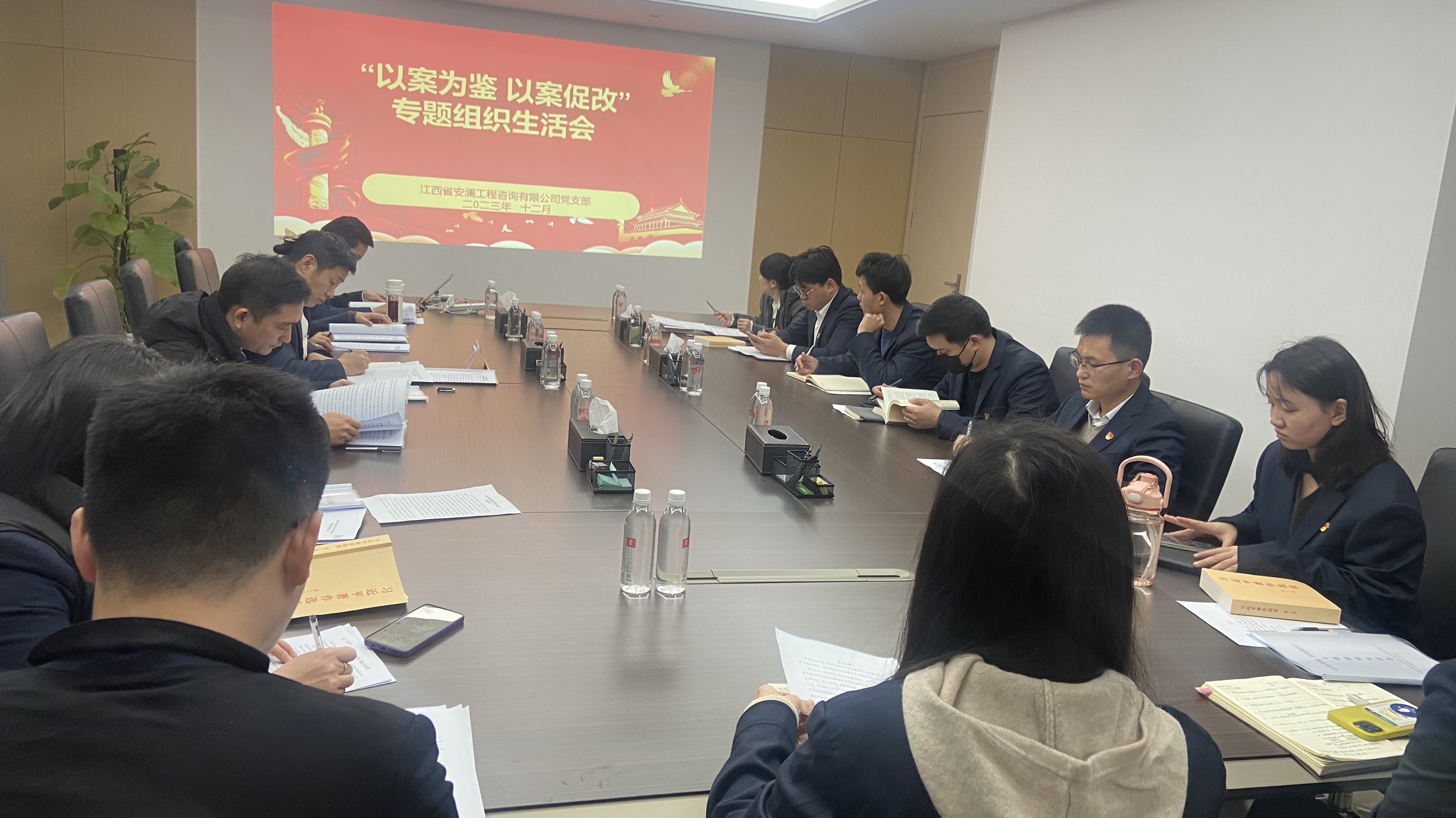 安澜党支部召开“以案为鉴 以案促改”专题组织生活会